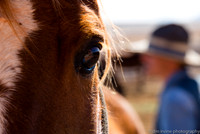 "Keep it Cowboy"